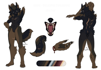 custom &amp; extra full &amp; floatie &amp; cross-sections