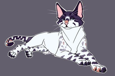 clean fullbody