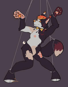 clean fullbody